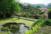 Bassin de jardin bâche ou préformé