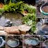 Comment installer son bassin de jardin ?