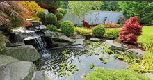 Quels sont les accessoires pour bassin de jardin ?