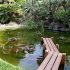 Où acheter un bassin de jardin ?