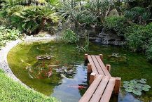 Quand nettoyer un bassin de jardin ?