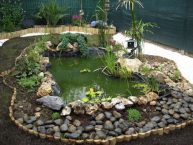 Quel bassin de jardin choisir ?