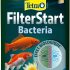 Notre test de la mangeoire flottante AUPROTEC pour bassin de jardin